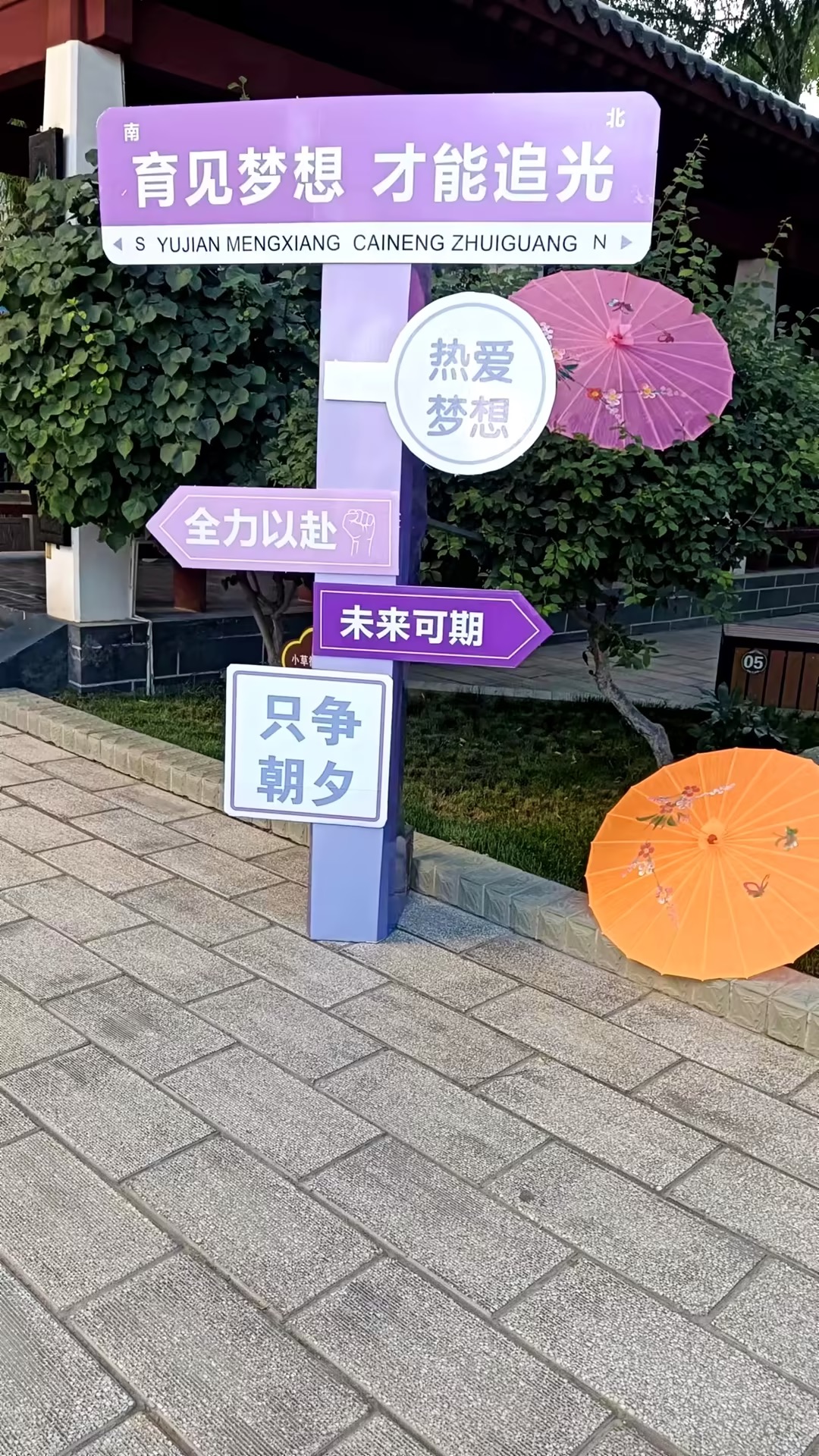 1722997999916179.jpg 1722995875440.jpg